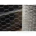 Hexagonal Wire Mesh Hot dipped galvanized chicken mesh Factory